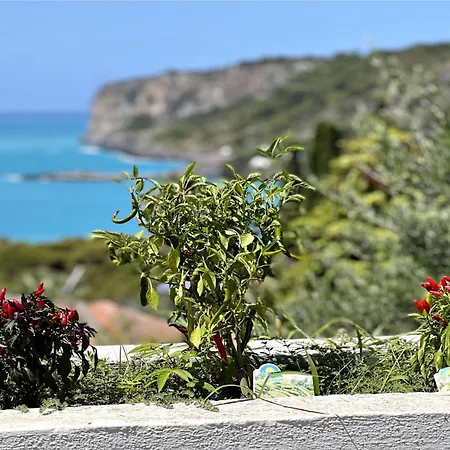 Villa Nappi Bed&Breakfast-2