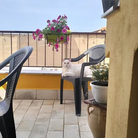 Da Nonna Teta-2