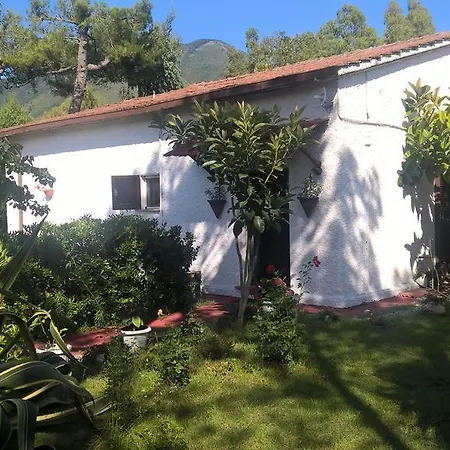 La Corte Delle Rose B&B-3